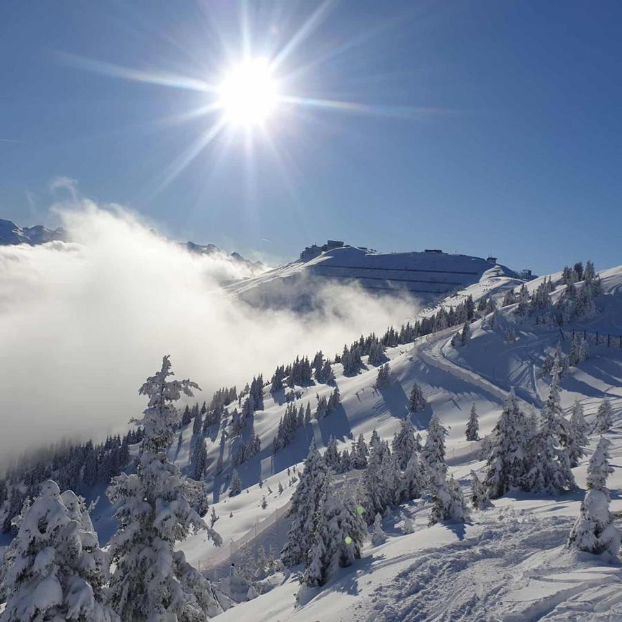Luxury Chalet Mauthner Alm Kotschach-Mauthen Eksteriør bilde